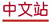 Chinese Web Site